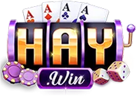 88haywin.it.com