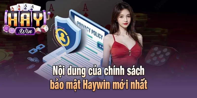 Nội dung của chính sách bảo mật Haywin mới nhất
