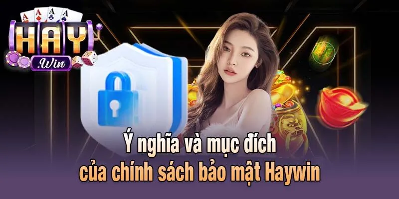Ý nghĩa và mục đích của chính sách bảo mật Haywin