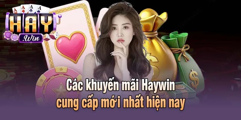 Các khuyến mãi Haywin cung cấp mới nhất hiện nay