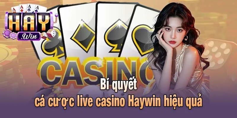 Bí quyết cá cược live casino Haywin hiệu quả