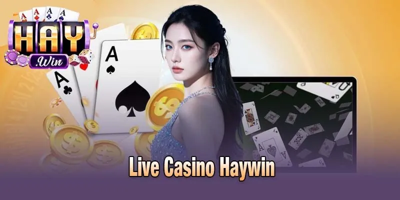 Live casino Haywin