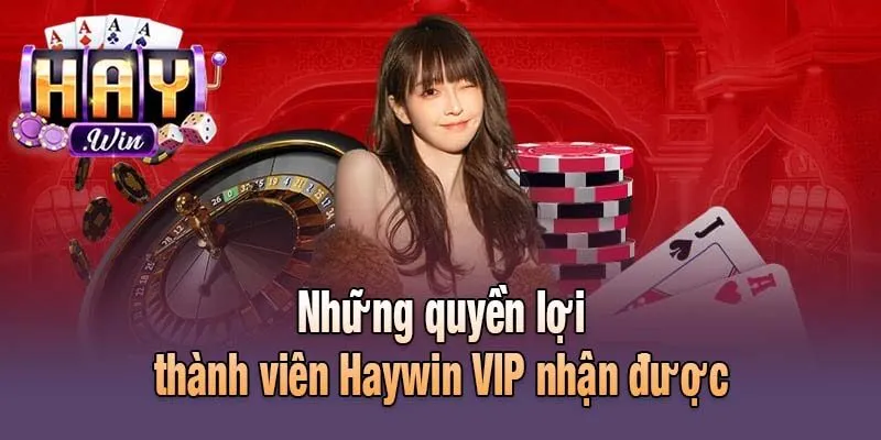 Những quyền lợi thành viên Haywin VIP nhận được