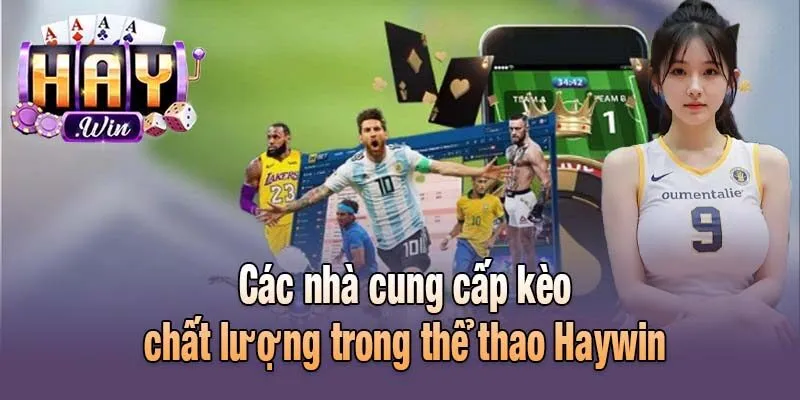 Các nhà cung cấp kèo chất lượng trong thể thao Haywin