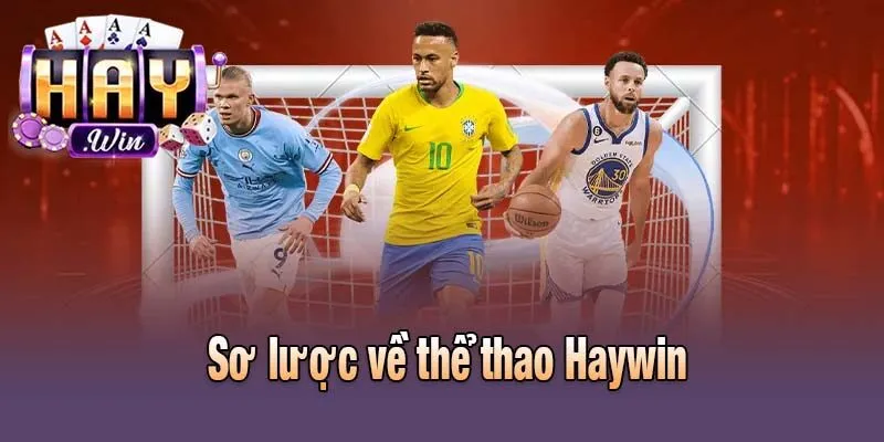 Sơ lược về thể thao Haywin