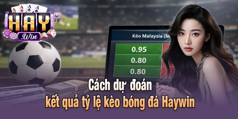 Cách dự đoán kết quả tỷ lệ kèo bóng đá Haywin