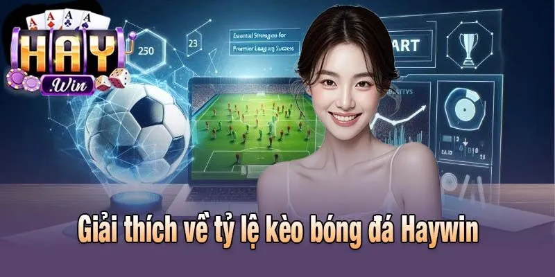 Giải thích về tỷ lệ kèo bóng đá Haywin