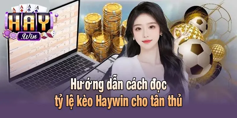 Hướng dẫn cách đọc tỷ lệ kèo Haywin cho tân thủ