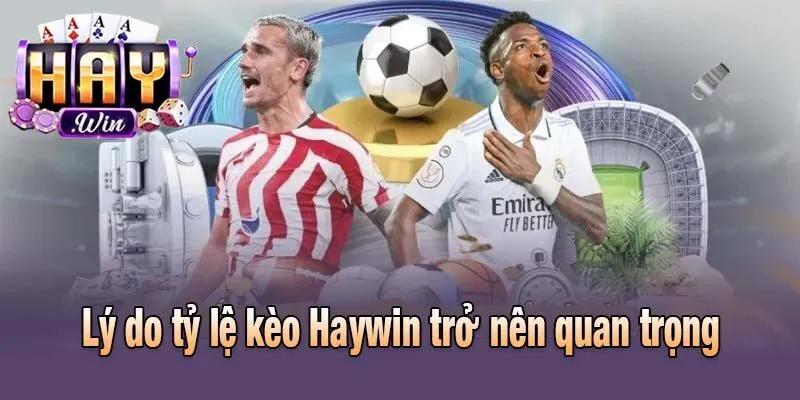 Lý do tỷ lệ kèo Haywin trở nên quan trọng